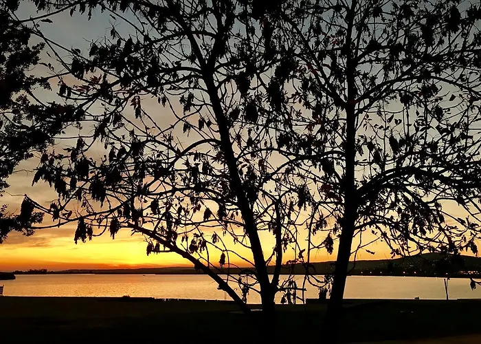 莱尔公园公寓式酒店 2* 巴拉通雷勒