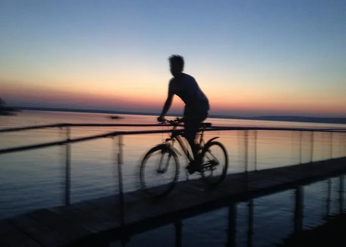 公寓式酒店 莱尔公园公寓式酒店 巴拉通雷勒