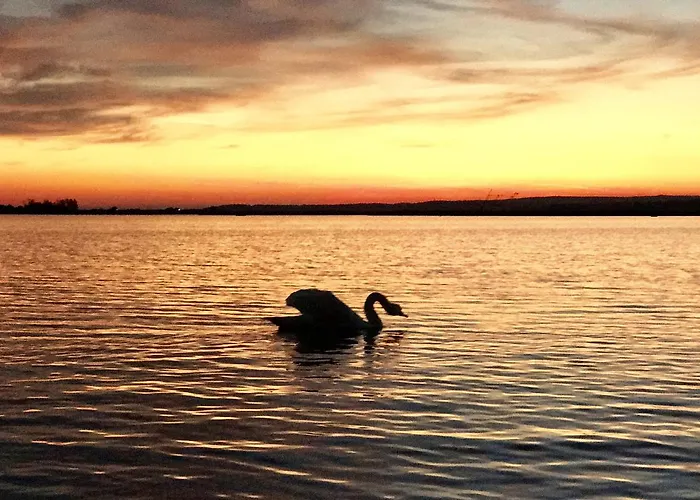 莱尔公园公寓式酒店 巴拉通雷勒